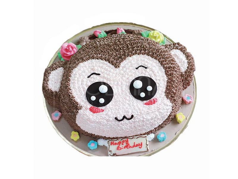 CS083  Watery Eyes Monkey