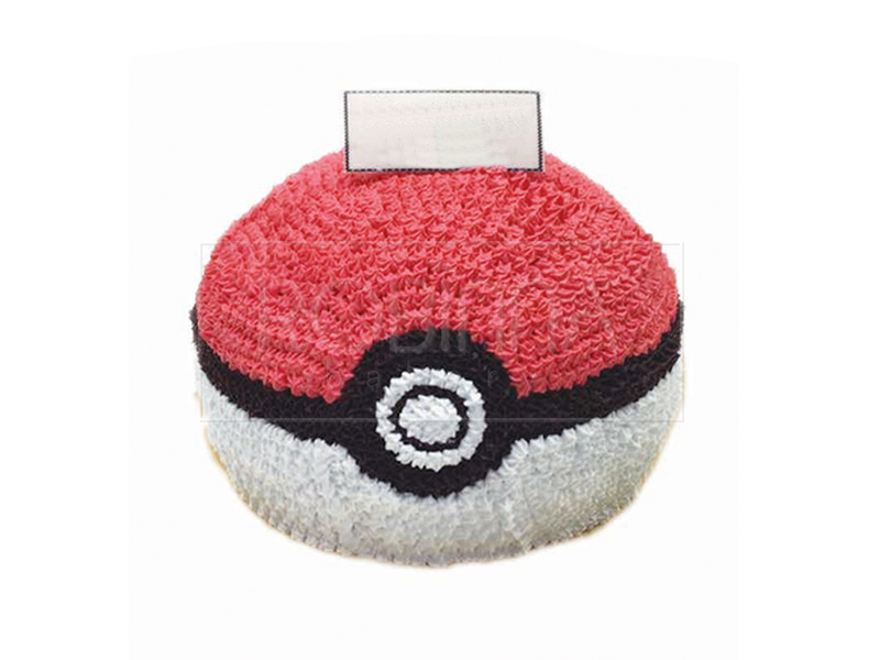 CS107  Poke Ball